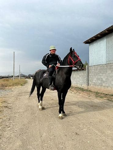 Очок: Ремонт квартир под ключ Консультат — 3