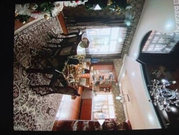 дом долгосрочная аренда: Дом, 360 м², 6 комнат, Собственник, Евроремонт — 3