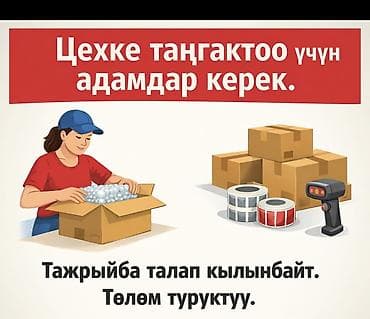 Упаковщик, Оплата: Ежедневно