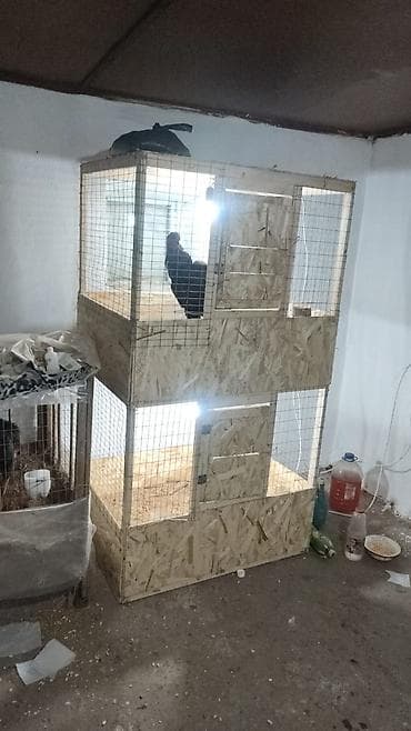 Сельхоз промышленность: Многоярусный брудерный стеллаж для выращивания птицы Цена зависит от — 7