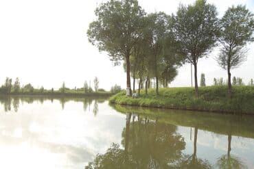 фото на документы: Видеосъемка, Фотосъёмка | С выездом, Студия | Рекламные ролики, Съемки мероприятий, Фотосессия — 23