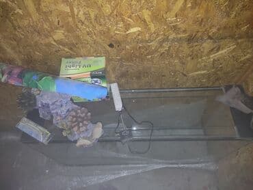 акустические системы atrix колонка в виде собак: Продаю аквариум длина1,40 см ширина 40 см высота 80 см толшина стекла — 3