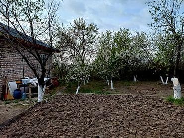 в одной семье: ПРОДАЕТСЯ НОВЫЙ КИРПИЧНЫЙ ДОМ Собственник КРАСНАЯ КНИГА размер — 3