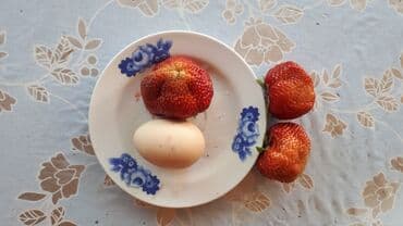 купить семена люцерны и эспарцета: Продаю саженцы клубники. Сорт альбион, гигантелла. Ремонтантная — 4