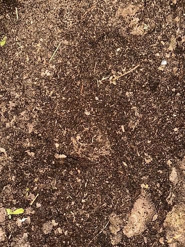 В тоннах, Бесплатная доставка, Зил