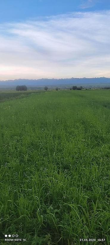 клетка для курицы: Земельный участок Сельскохозяйственного назначения Идеальный вариант — 2