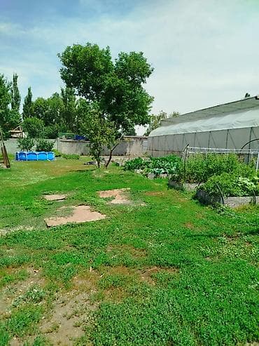 Недвижимость: 20 соток, Для строительства, Договор купли-продажи, Красная книга, Тех паспорт — 10