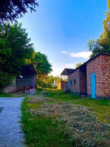 Продажа коммерческой недвижимости: Салам алейкум Кара-Балта Шаарынын чалдавар жайгашкан трассанын — 6