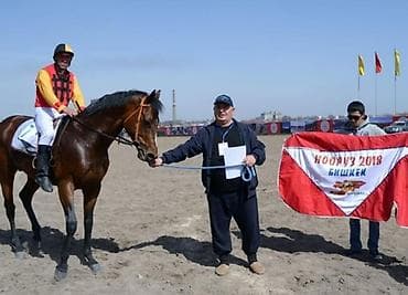 жугору сатам: Сатам | Бээ (ургаачы) | Англиялык | Ат спорту — 4