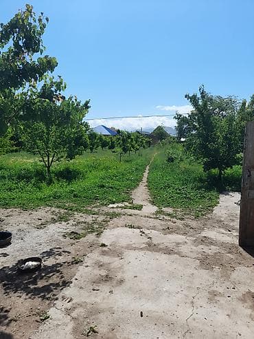 ак бата ж м: Продаётся дом 5 комнат + времянка 3 комнаты, отопление электричество и — 9