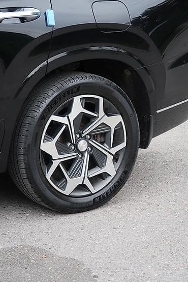 Унаа: Hyundai Palisade: 2021 г., 2.2 л, Автомат, Дизель, Кроссовер — 7