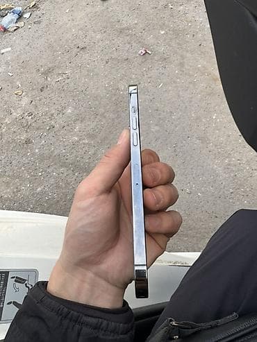 8 plus: IPhone 12 Pro Max, Б/у, 256 ГБ, Графит, Чехол, 79 % — 4