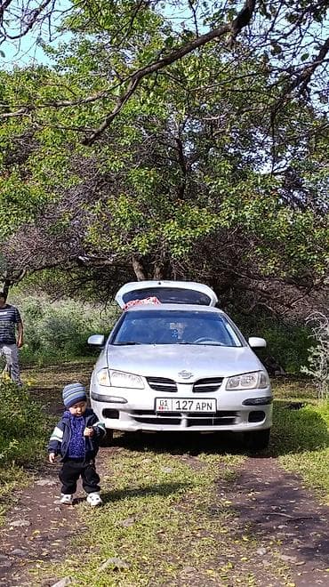 jet ski: Nissan Almera: 2001 г., 1.5 л, Механика, Бензин, Хэтчбэк — 9