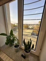 продажа домов в бишкеке арча бешик: Үй, 210 кв. м, 5 бөлмө, Риелтор, Дизайнердик оңдоо — 8