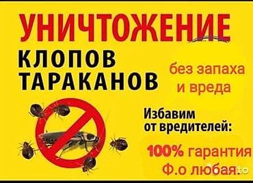 Клининг кызматтары: Дезинфекциялоо, дезинсекциялоо, | Бүргөлөр, Вирустар, микробдор, Канталалар, | Үйлөр, Жертөлө, ороо, Подъезддер — 1
