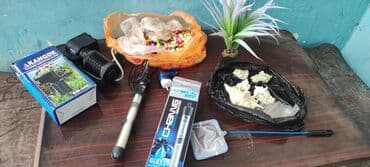 фильтр для аквариума бишкек: Продается комплект для аквариума, в Оше — 3