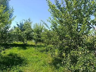 Ысык-Көлдө конок үйлөр: Ысык-Көлдө конок үйү, Кара-Ой (Долинка) — 6