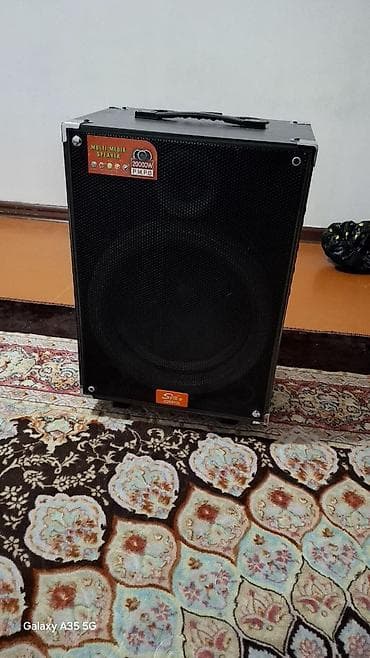 Бир жолу клдонулган зарятчик микрафон бары бар прамой Токко уласса да