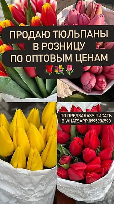 Тюльпаны в розницу по оптовым ценам. - Ассортимент: красные, жёлтые