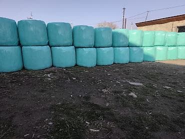 Кошки: Силос доставка есть — 1