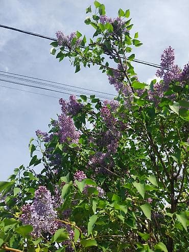 гибкий график работы: Студент, хотел бы найти официальную подработку с гибким графиком, цена — 1