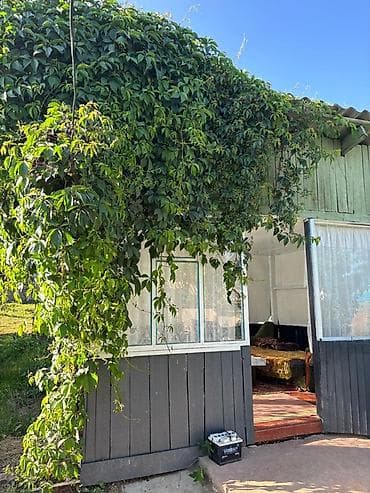 сдаю коттедж иссык куль: Домик/дача с летней верандой и хозяйственным двором. Город Чолпон Ата — 4