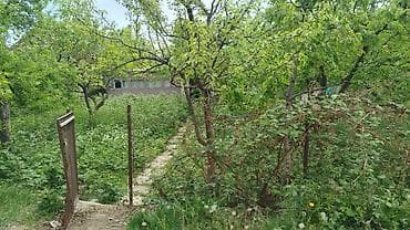 исык куль номера: Дача на Иссык-Куле, село Бостери (ближняя дача). Участок ухоженный — 2