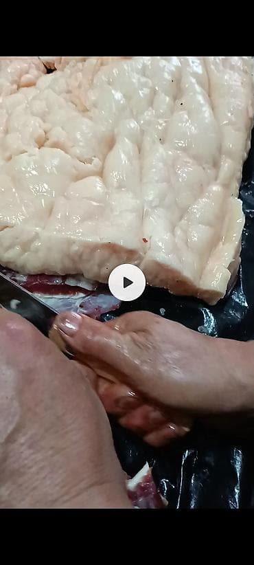 голуби птицы: Продаю | Кобыла (самка) | Для разведения — 7