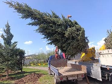 intel xeon e5: Стрела 17 м, 3 т, Борт 8000 кг — 4