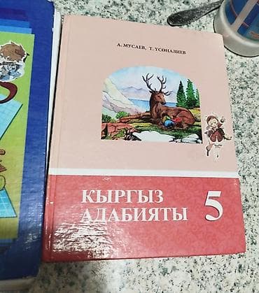 Человек и общество 5 класс.Кыргыз адабияты 5 класс. математика 5класс