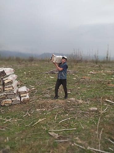 дрова для бани: Дрова — 1