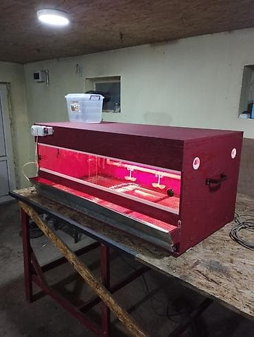 Башка жаныбарлар: Брудер!!!делаю на заказ брудера для цыплят. полный комплект сделан из — 9