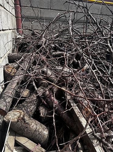 чоп орчу: Дрова Самовывоз — 1