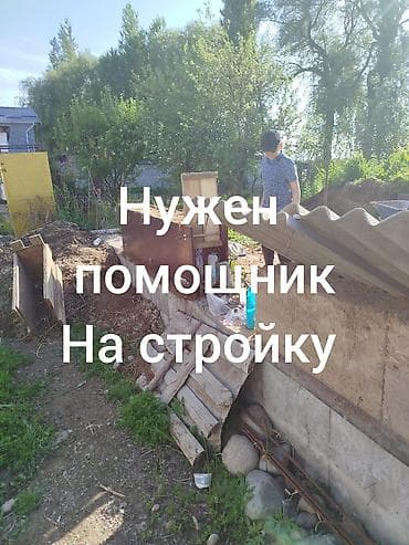 Требуется помощник на стройку. Основные задачи: - Подсобные работы на — 1