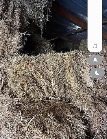 наполнитель для животных: Продаю тюки по всем вопросам обращайтесь по телефону номеру — 3