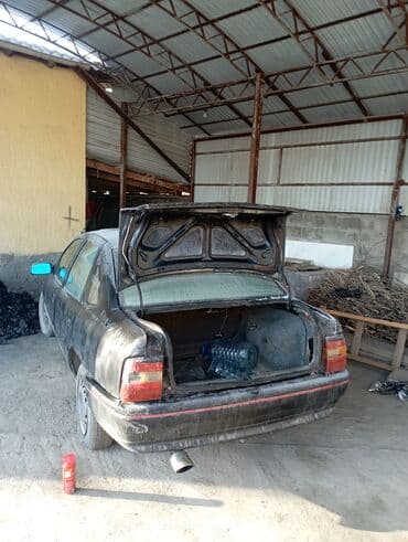 опель вектира: Opel Vectra: 1993 г., 1.6 л, Механика, Бензин, Седан — 5