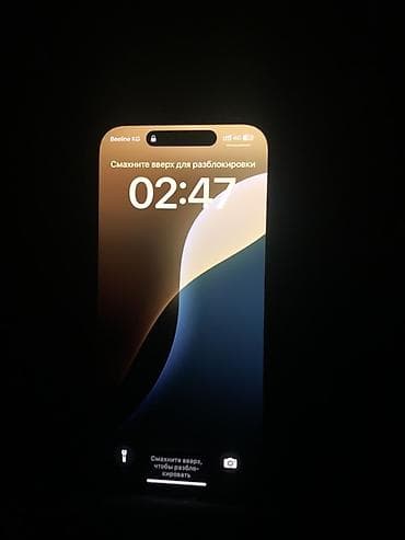 ipad mini: IPhone 15 Pro, Черный — 2