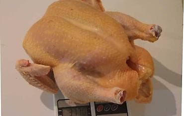 клетки для кур: Продаю | Куры | Бройлерная | На забой — 2