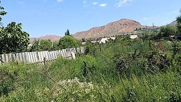 кен сай пост: 1320 соток, Для сельского хозяйства, Красная книга — 6