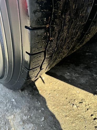 sprinter delfin: Тягач, Volvo — 4