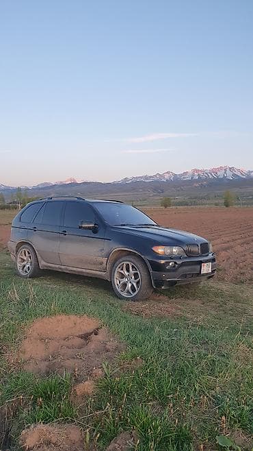 5 vz: BMW X5: 2004 г., 4.4 л, Автомат, Бензин — 4