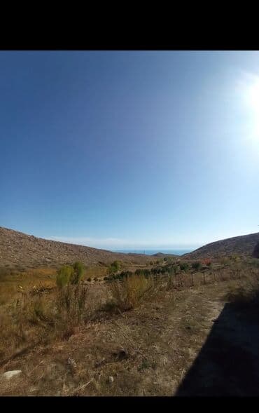 меняю на скот: Продается действующий бизнес кашар вместе с садом для разведения скота — 6