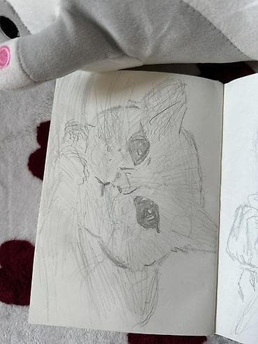 Дом и сад: Всем привет! Рисую ваших любимых питомцев (да и не только их) по фото — 1