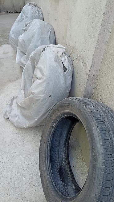 Автомобильная шина с маркировкой 255/55 R19 предназначенная для