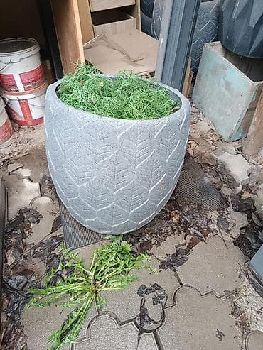горшки кашпо: Уличные бетонированные кашпо/вазоны для растений, плюс растение к ним — 2
