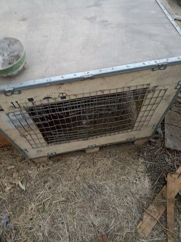 Продам кролятники
