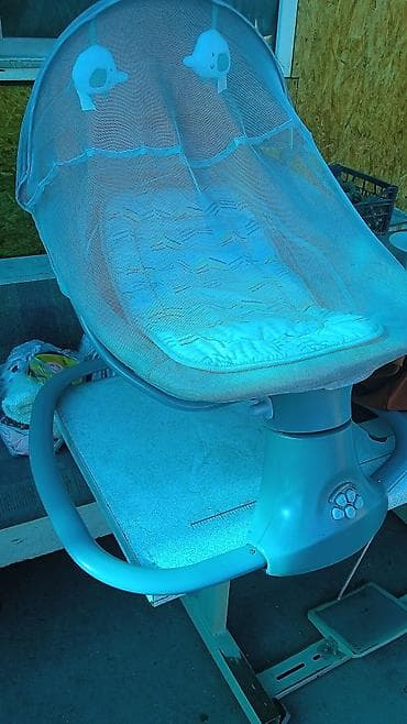 отдам даром животных бишкек: Отдам даром — 1