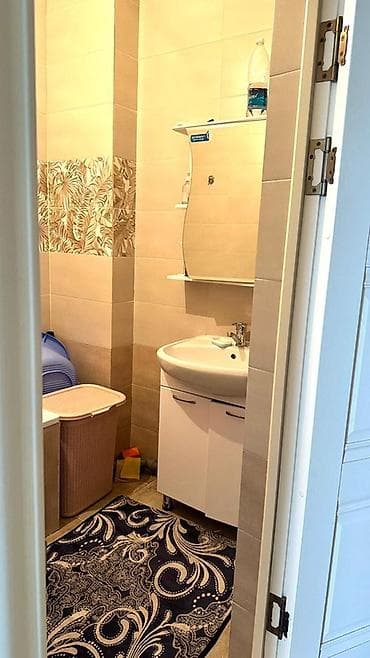 прихожая с зеркалом: Ковровая дорожка Синтетика, Восточный — 9