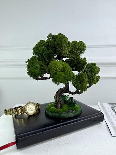 Другой декор и предметы интерьера: Декоративное настольное деревце Бонсай из стабилизированного мха- — 10