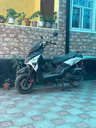 квадроцикл цена: Скутер Hammer Tiger - Кузов: спортивный пластик, цвет чёрно-белый — 2